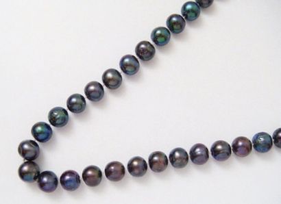 null Beau collier composé d'une légère chute de 35 perles de culture grises irisées...
