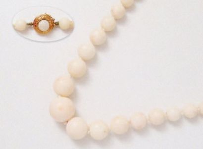 null Collier composé d'une chute de perles en corail blanc, agrémenté d'un fermoir...