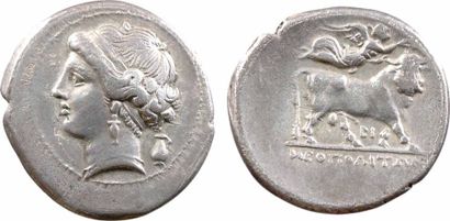 GREEK COINS Campanie, didrachme, Naples, 275-250 av. J.-C. HN3.586 TTB 22,0 mm 7,24...