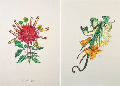 Salvador DALI Série Florals Ensemble de deux lithographies en couleur 75 x 56 cm...