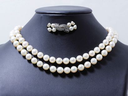 null Collier choker composé de 2 rangs de perles de culture d'environ 8.5 à 8.9 mm....