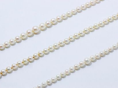 Lot composé de 3 colliers de perles de culture...