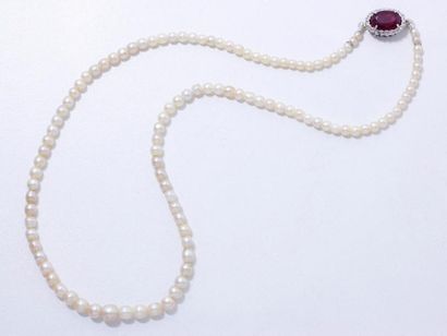 null Collier composé d'une légère chute de perles fines d'environ 3.1 à 6.5 mm, il...