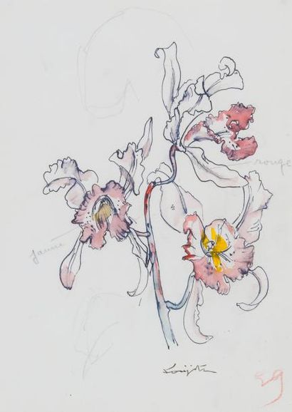 null Léonard FOUJITA (1886-1968)

Les Orchidées, circa 1955

Etude avec annotations...