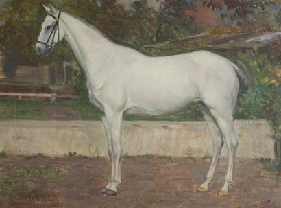 null Julius KÖHLER (1873-1929)

Portrait de cheval

Carton

Signé en bas à gauche.

...