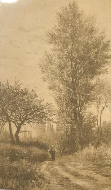 null Auguste ALLONGE (1833-1898): Chemin animé en sous-bois. Fusain. SBG. 43 x 23...