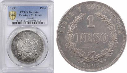 null Uruguay (République d'), peso, 1893, PCGS AU Details

A/REPUBLICA ORIENTAL DEL...