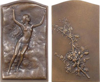 null Dubois (Henri) : Vers le beau, plaque de haut relief, c.1905-1908 Paris

Allégorie...