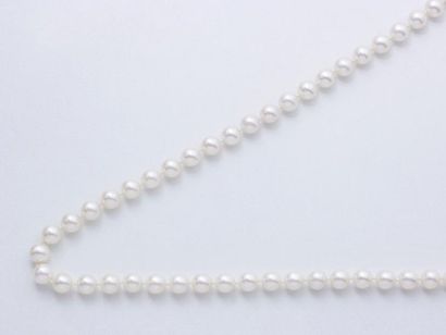 null COLLIER composé d’un rang de perles de culture d’environ 7.5 à 7.9 mm. Il est...