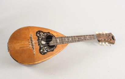 null Belle mandoline de Luigi DORIGO Napoli.

 N° 86, 1891.

 (petits accidents sur...