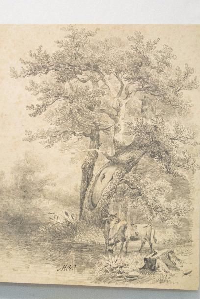 null Jean-Baptiste MÜNTZBERGER (1794-1878) 

Sous bois 

Deux vaches paissant sous...