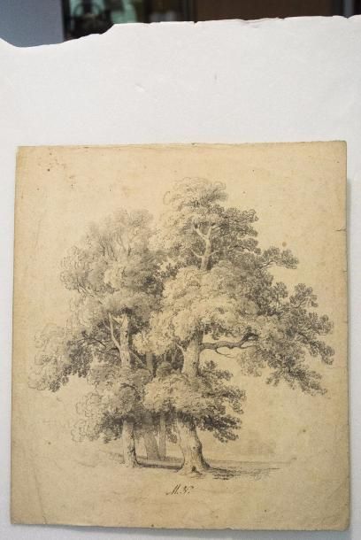 null Jean-Baptiste MÜNTZBERGER (1794-1878) 

Etudes d'arbres 

Ensemble de vingt-sept...