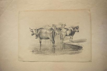 null Jean-Baptiste MÜNTZBERGER (1794-1878) 

Etudes d'animaux 

Huit dessins au crayon...