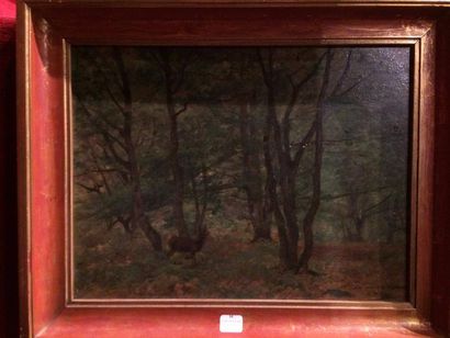 null Edouard Louis BOUDIER (1845-1903)

Chevreuil dans les bois

Panneau, signé en...