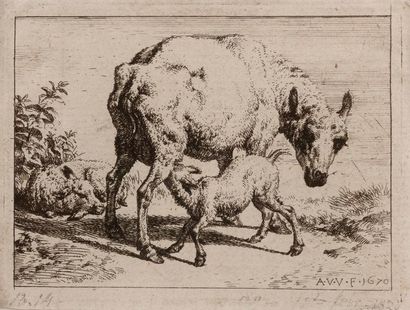 null ADRIEN VAN DE VELDE (1636 – 1672)

Brebis et son petit

Eau-forte.

7 x 9, 2...