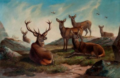 null EDOUARD NEALE

The Deer Park

Huile sur toile.

70 x 102 cm