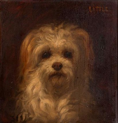 null ATTRIBUE A EDOUARD MANET (1832 - 1883)

Portrait du chien Little

Carton

23,5...