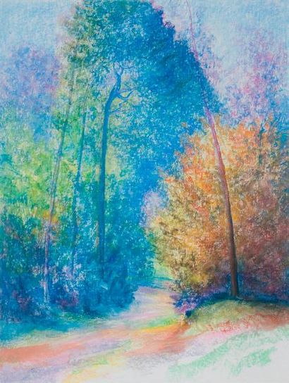 null Gaston Coppens

Paysage n°1

Pastel sur papier 

65 x 50 cm (sans cadre)