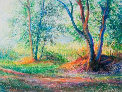 null Gaston Coppens

Paysage n°27

Pastel, signé en bas à gauche

50 x 65 cm (sans...