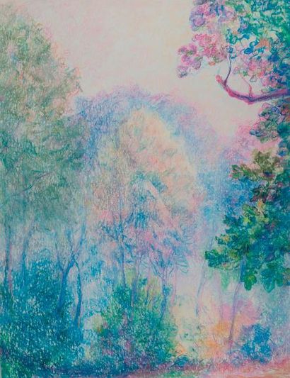 null Gaston Coppens

Paysage n°38

Pastel sur papier 

65 x 50 cm (sans cadre)