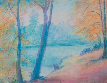 null Gaston Coppens

Paysage n°57

Pastel sur papier 

50 x 65 cm (sans cadre)