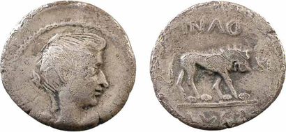 Fulvie, quinaire, Lyon, 43 av. J.-C. A/Anépigraphe Buste ailé de Fulvie à droite,...
