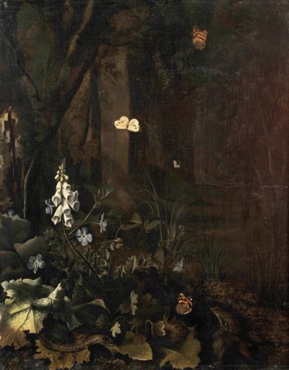 Matthias WITHOOS, attribué à Papillons, grenouille et serpents dans un sous bois...