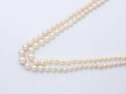 null COLLIER composé de 2 chutes de perles de culture d’environ 5.3 à 9.3 mm. Il...