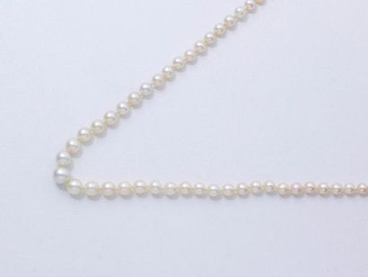null Collier composé d'une chute de perles fines d'environ 3.8 à 6.6 mm, agrémenté...