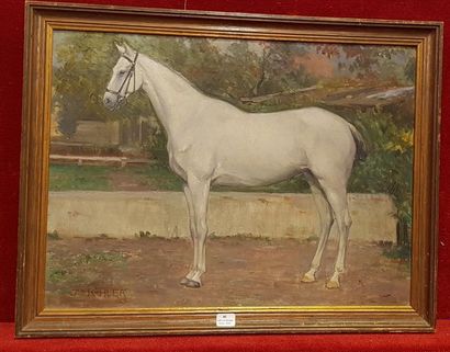 null Julius KÖHLER (1873-1929)

Portrait de cheval

Signé en bas à gauche

32 x 43...