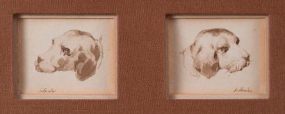 null PIERRE LETUAIRE (1798-1884) 

Deux portraits de chiens de chasse 

Plume, encre...