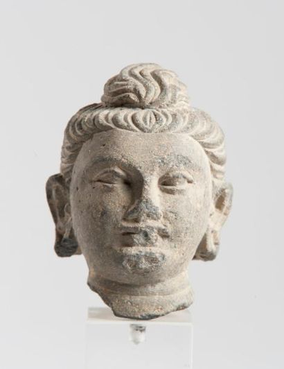 null Art greco bouddhique du Gandhara, I-II ème siècle. Tête de Bouddha sculptée...