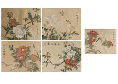 null Chine, fin XIXème, début XXème siècle . Beau lot de cinq aquarelles naturalistes...
