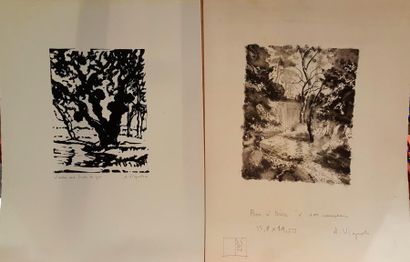 André Vignoles André Vignoles (1920 - 2017) Lot de 6 lithographies de L'arbre aux...
