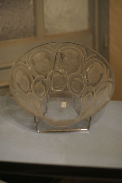 null Coupe en cristal, décor de chardon. Lalique France.
