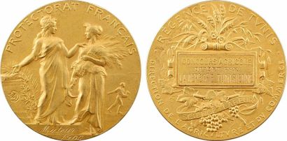 null Tunisie, Régence de Tunis, concours de Mateur, médaille d'or par Alphée Dubois,...