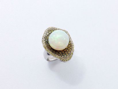 null Bague en or gris 750 millièmes stylisant une vasque décorée d'une perle d'opale...