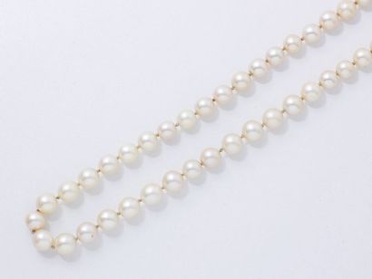 null Collier composé d'un rang de perles de culture d'environ 7.7 à 8.7 mm, agrémenté...