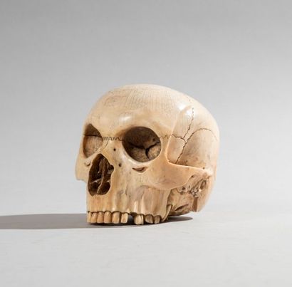 Crâne sans mandibule en ivoire sculpté ,...