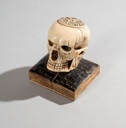 Crâne en ivoire sculpté posé sur un livre...