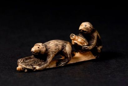 null Netsuké, groupe de deux singes et tortues. Signé. Long. : 6,1 cm
