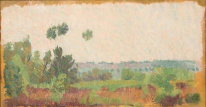 HAYET Louis (1864-1940) Paysage de campagne Huile sur carton marouflé sur toile 24,5...