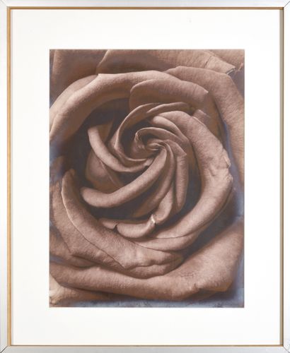 DENIS BRIHAT (Né en 1928) DENIS BRIHAT (BORN 1928)

THE ROSE

Color print on paper,...