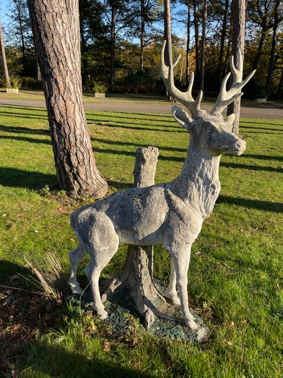 Standing deer leaning against a tree trunk,...