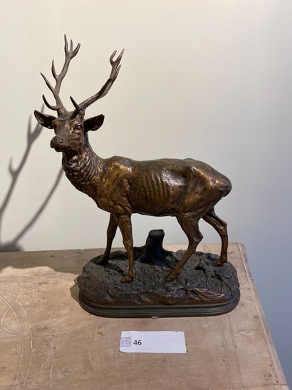  Stag on a mound 
Bronze with gilded patina, signed on the base Dubacand 
42 x 30...