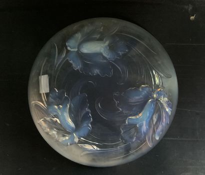 Molded glass bowl with iris decoration in...