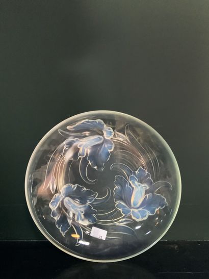  Coupe en verre moulé à décor d’iris en relief 
Diam : 35 cm