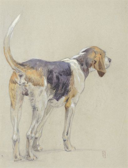 Edouard DOIGNEAU (1865-1954) Edouard DOIGNEAU (1865-1954)

Chien de meute,

portant...