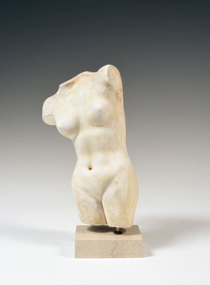 null 
Buste de Venus, copie d'après l'antique




Sculpture en plâtre




H. 28 ...
