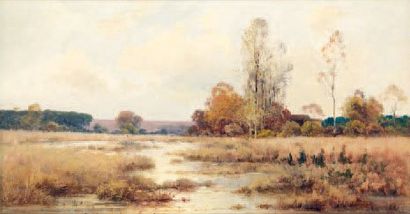 DAMOYE PIERRE EMMANUEL EUGÈNE 1847-1916 Paysage de Sologne Huile sur toile signée...